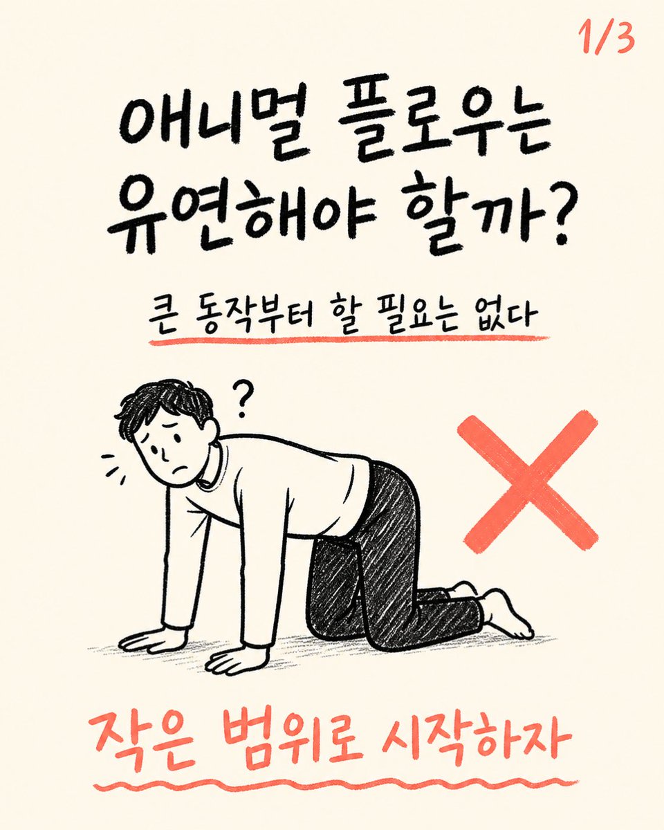 trainer_bryan_x's tweet photo. 애니멀 플로우는 유연한 사람만 해야 할까?
이 운동의 핵심은 큰 동작보다 손발 지지와 체중 이동을 조절하는 데 있다.
작은 범위의 네발 움직임부터 시작하자. https://t.co/DbXaQ3zBJz
