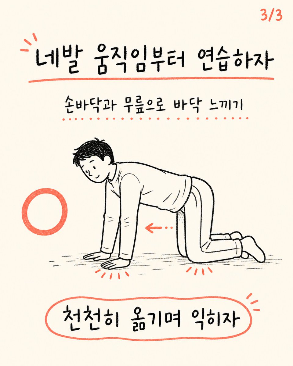 trainer_bryan_x's tweet photo. 애니멀 플로우는 유연한 사람만 해야 할까?
이 운동의 핵심은 큰 동작보다 손발 지지와 체중 이동을 조절하는 데 있다.
작은 범위의 네발 움직임부터 시작하자. https://t.co/DbXaQ3zBJz