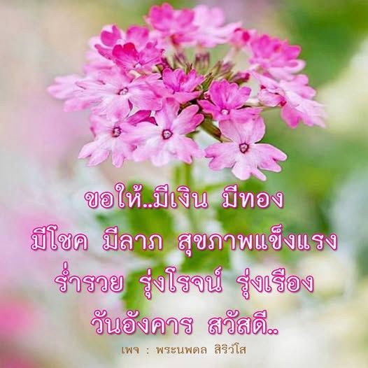 hirunkitfans's tweet photo. 04.08.2026
📸 IG broadcast : hirunkit_

“ขอให้...มีเงิน มีทอง
มีโชค มีลาภ สุขภาพแข็งแรง
ร่ำรวย รุ่งโรจน์ รุ่งเรือง
วันอังคาร สวัสดี...”

ทักทายแบบแบ๊ด ๆ ครับ 😎🤘🏻🌸

── #hirunkit_ @Hirunkit_
#kotae
#คำตอบของนานิ

Join Nani's broadcast channel🌸
🔗https://t.co/DfHEFJpuTX https://t.co/rWM1NWybb2