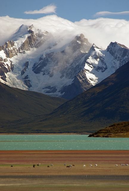 oceanweavee's tweet photo. Patagonia,chile https://t.co/YaUGtHceTD