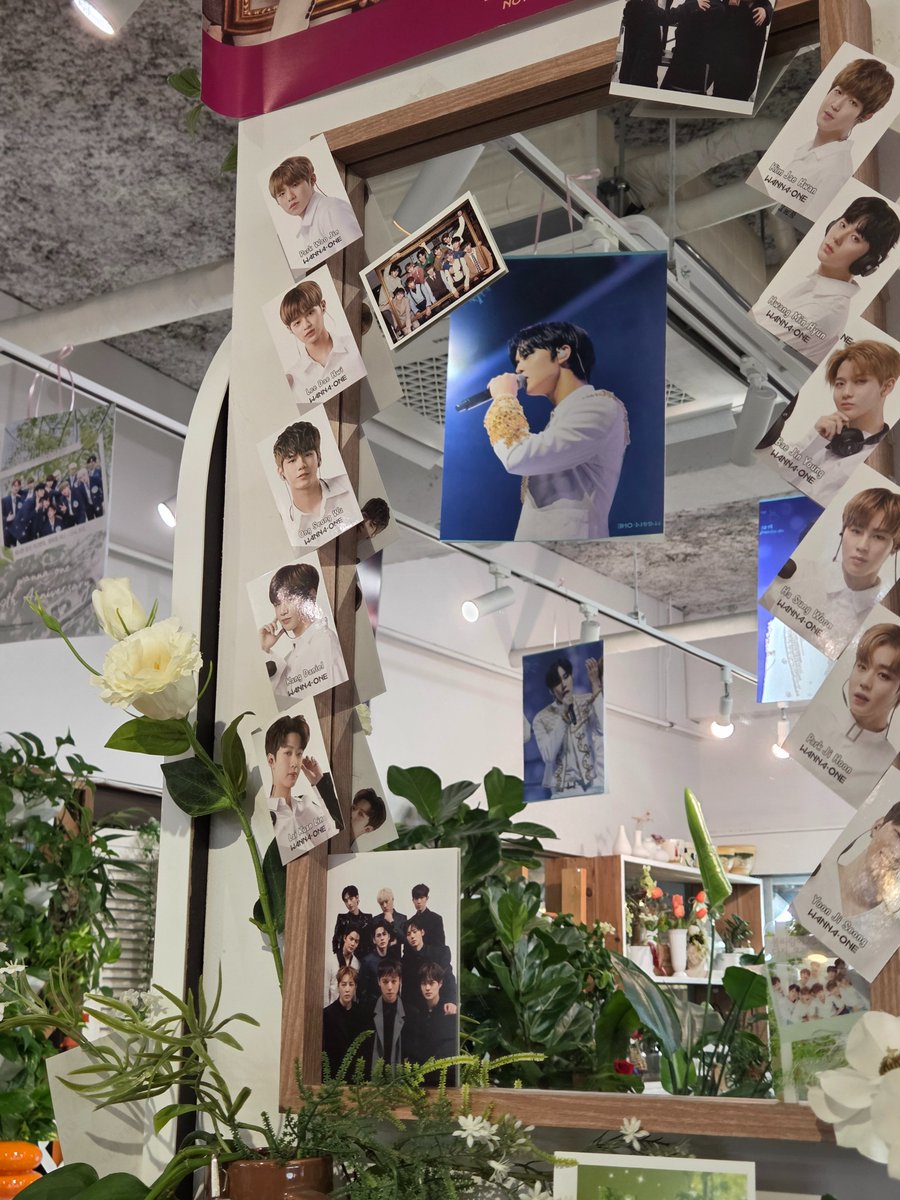5gicoffee87925's tweet photo. 🩵 #워너원9주년 기념카페

현재 근처 직장인분들, 학생분들, 외국인팬분들,남편분과 오시는분들까지 
많은 워너블께서 찾아주고계세요:)
더운날 편하게 쉬다가세요! 

*럭키드로우 가능합니다

#윤지성 #하성운 #황민현 #옹성우 #김재환 #강다니엘 #박지훈 #박우진 #배진영 #이대휘 #라이관린 https://t.co/9M3Qa7irlb