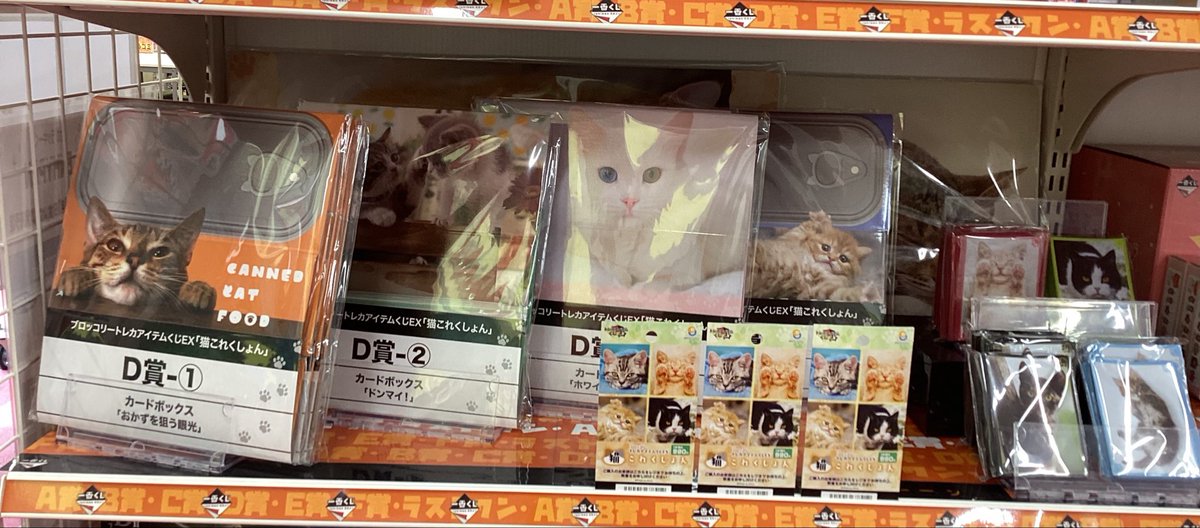 🎯くじ情報🎯 🩵#トレカアイテムくじ EX🩵 🐈#猫これくしょん