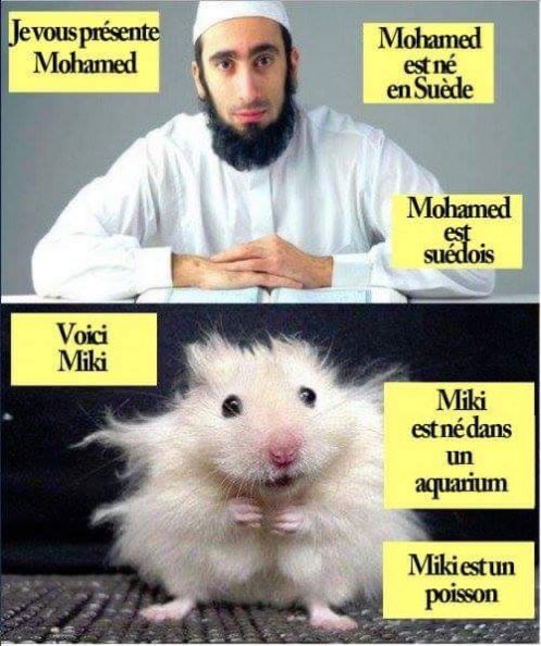 IlanMartynzc's tweet photo. @dzteam69 J’y suis né 🤣🤣🤣🤣🤣 Mouloud cela ne fait pas de toi un français https://t.co/3PsSimWxWl