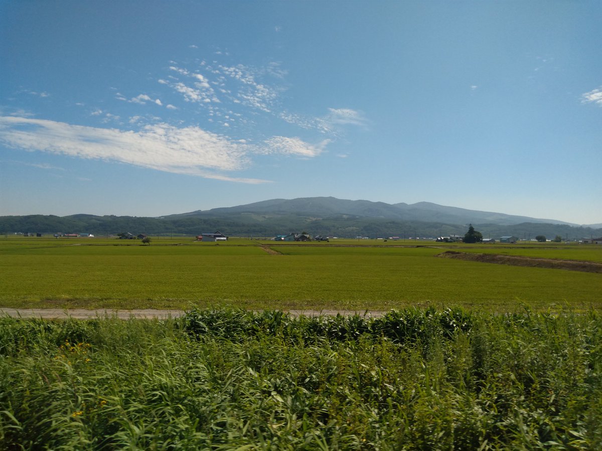 MiN_Utility's tweet photo. 夏 https://t.co/0vquSZ8ewA