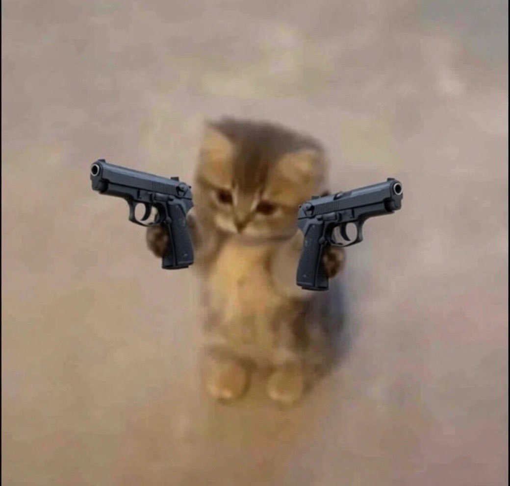 dangercatcoin's tweet photo. GM https://t.co/slwJjtImU9