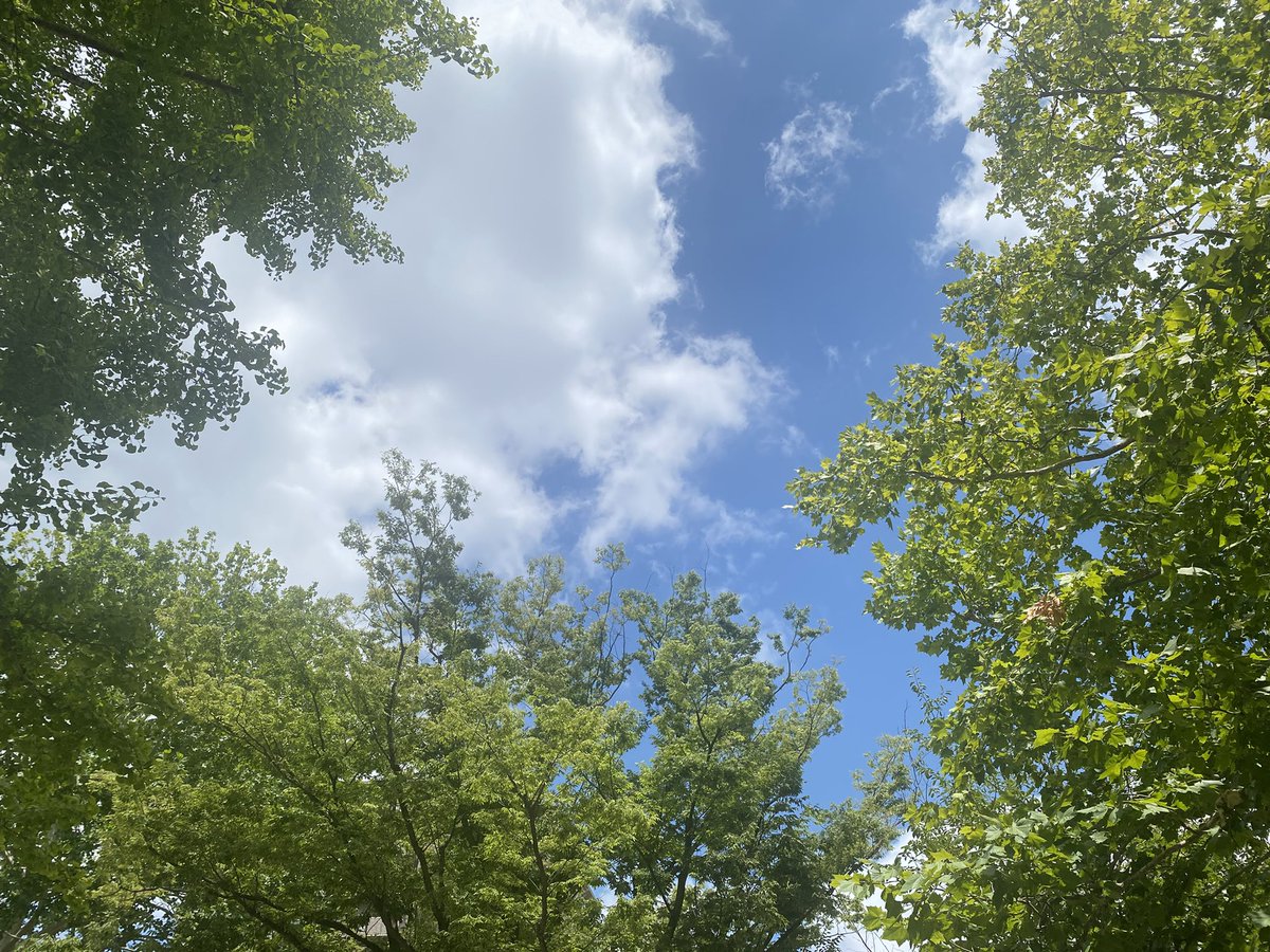shine_thai's tweet photo. 今日は夏を味わう余裕のある気温。本日もご予約・ご来店お待ちしております。
#中野　#新井薬師前　#タイ式マッサージ　#筋膜リリース　#フットリフレ　#チネイザン　#腸活マッサージ https://t.co/WyadibsYVB