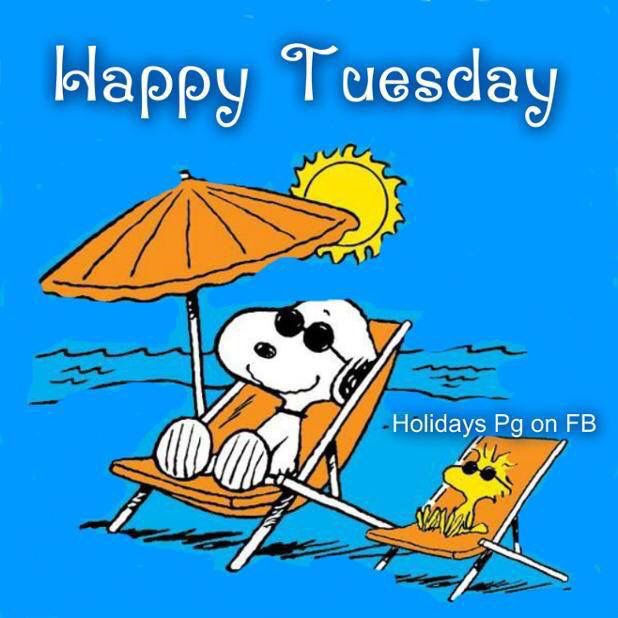 snoopyandfrien6's tweet photo. Happy Tuesday https://t.co/SQXerbfCuW