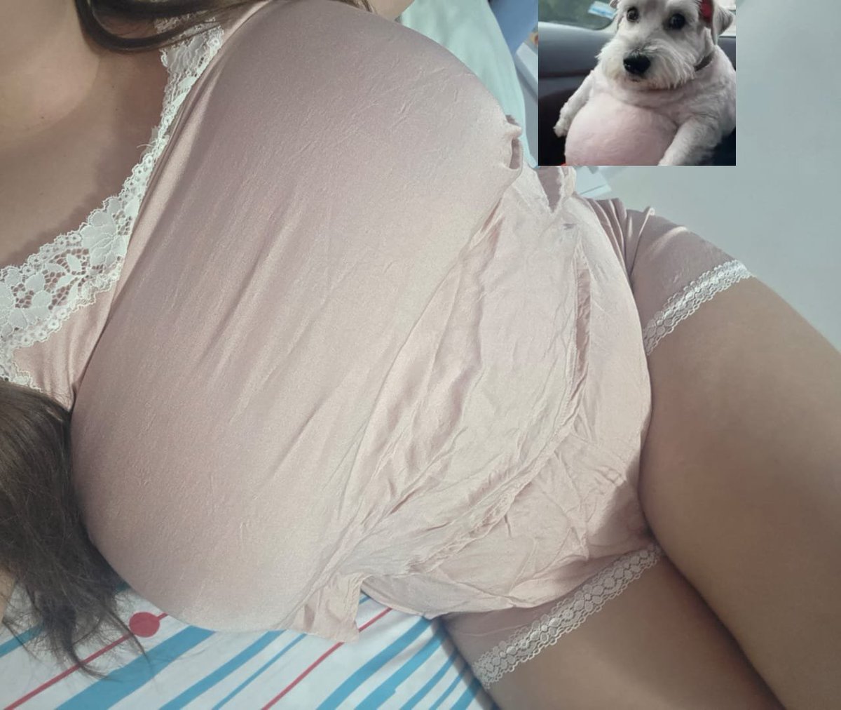 Ocassus_baby's tweet photo. Necesito que unos brazos fuertes me rodeen 💘 #chubby https://t.co/1wr8litqKg