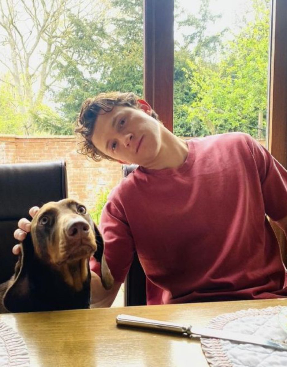 mniynkk's tweet photo. jungkook and tom holland are best friends in my head https://t.co/mUZYH4xrtQ