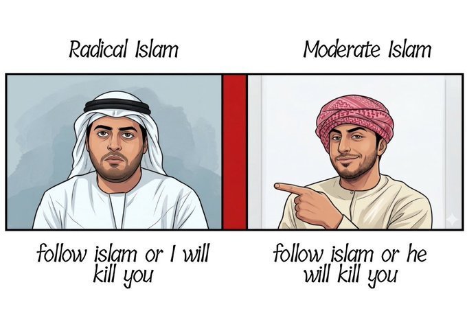 mattaherrr's tweet photo. @mohammed_hijab @LozzaFox https://t.co/A697OyBBZc