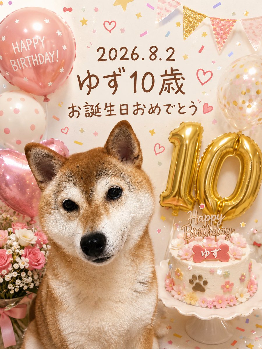 eri_0323's tweet photo. 先日、我が家の愛犬🐶が10歳を迎えました✨
まだまだ元気٩(๑❛ᴗ❛๑)۶まだまだ
長生きししてね💕︎
ゆず♡おめでとう🎂 https://t.co/LnwAG6aICk