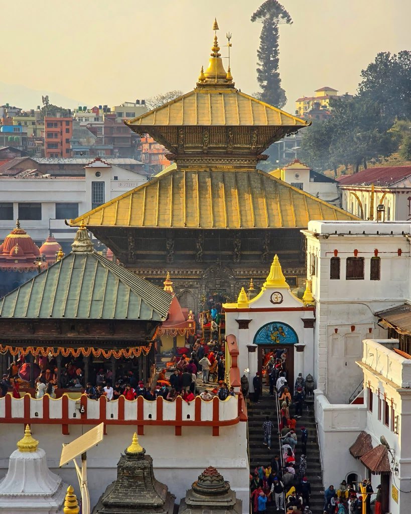 smart_puree's tweet photo. ॐ नमः शिवाय 🔱🙏 https://t.co/sUci4fNmeE