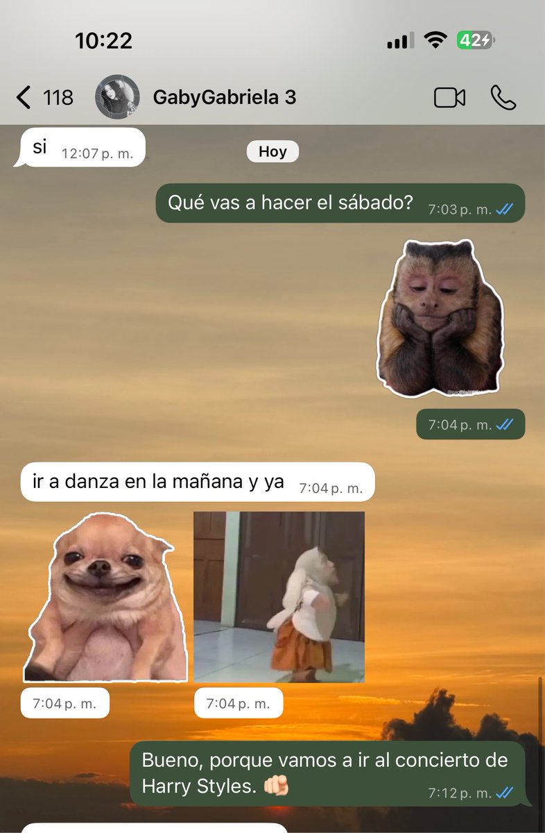 gerarcast_'s tweet photo. Serían yo avisándole a mi hermana días antes que iremos al concierto de Harry Styles? 🐒 https://t.co/JDsPl8SDkd