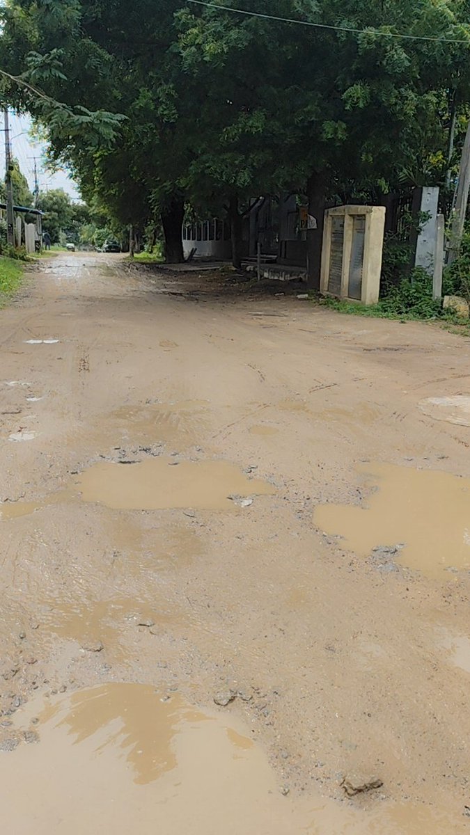 DurgamVasu's tweet photo. @revanth_anumula @CommissionrGHMC. మాది Sai Suraksha Enclave,దమ్మాయిగూడ. ముఖ్యమంత్రి గారు మీరేమో ఫ్యూచర్ సిటీ అంటూ భవిష్యత్ విజన్ గురించి మట్టాలాడుతున్నారు కానీ మన present సిటీ పరిస్థితి చూడండి. ఎన్నోసార్లు మేము విన్నపం చేసినా మా కాలనీ పరిస్థితి గురించి ఎవ్వరూ పట్టించుకోవట్లేదు https://t.co/sw6bJvxDQj