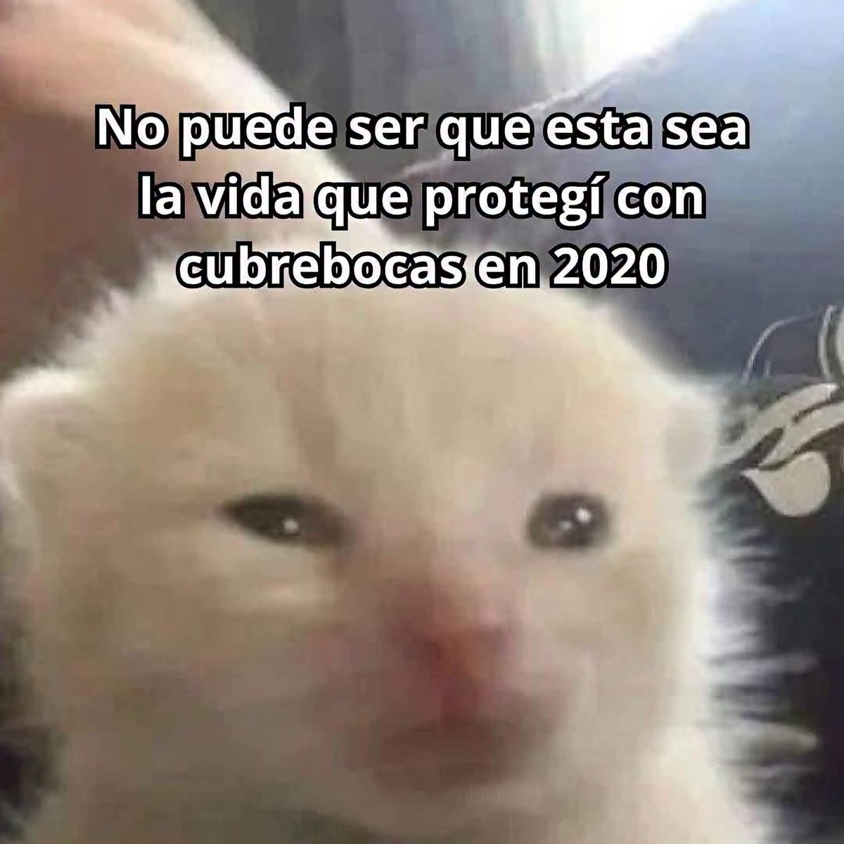 Guarromantico_'s tweet photo. No puede ser. https://t.co/G5C17DzzqF