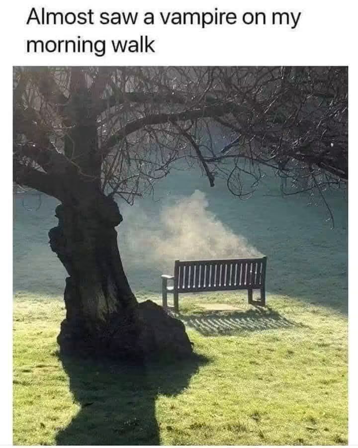 WholesomeMeme's tweet photo. https://t.co/0OU2pZYVEg