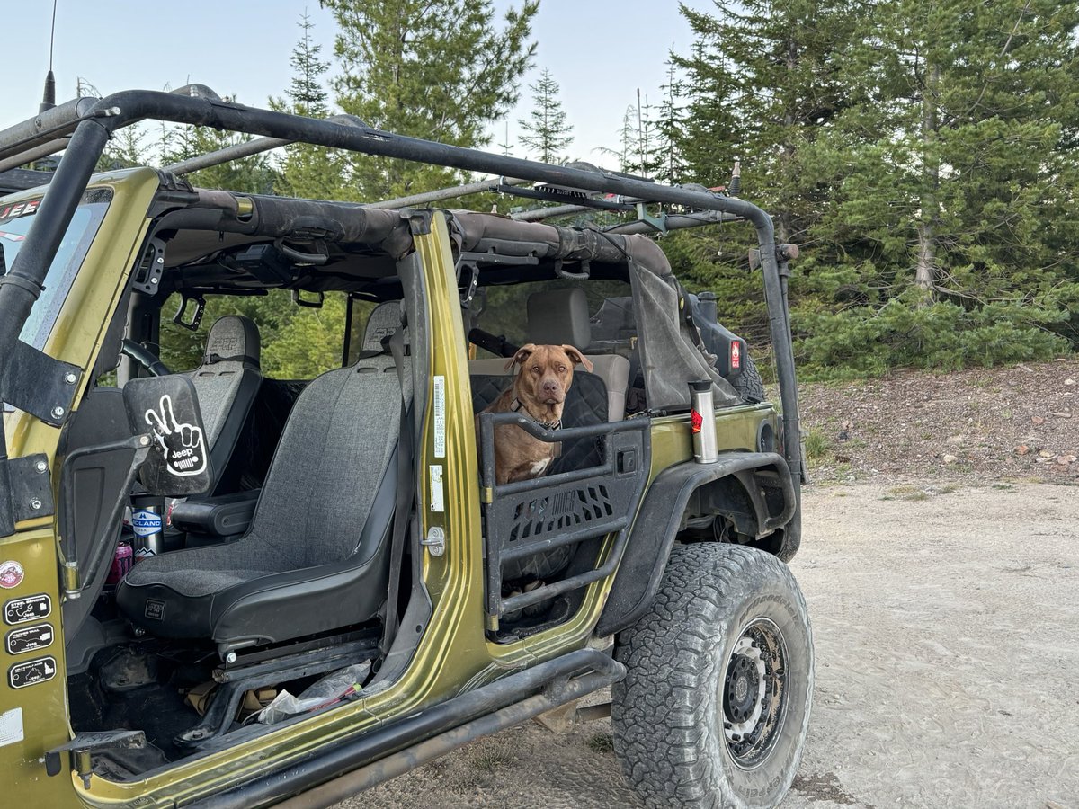 sallythejeep's tweet photo. JAK the Jeep Dog says you need to come play on the trail! 

Get a Jeep and let your Jeep Dog be your navigator. JAK always finds us a cool spot to take a break on the trail. https://t.co/GLFl4Xv9AS