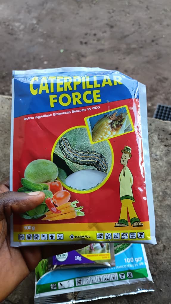 grace_orji73673's tweet photo. All the forces we use 😂😂😂 https://t.co/sxkT328zzJ