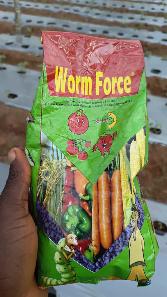 grace_orji73673's tweet photo. All the forces we use 😂😂😂 https://t.co/sxkT328zzJ
