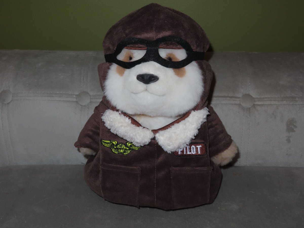 PookieDigi4Ever's tweet photo. Guess what I did! 😁
5) #QiZai as an aviator 🐼👨🏻✈️
#七仔 https://t.co/UIJ5jgTeoR