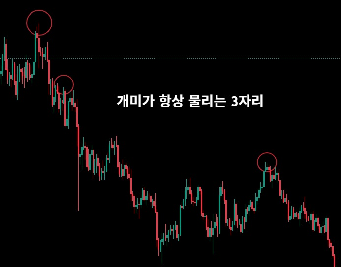 mk_kr_great_ag's tweet photo. 개미들 항상 물리는 자리
세력들이 숨기는 거 오늘 다 까발림
이거 3개만 외워두면 손절 타이밍이 보이기 시작함

개미가 돈 잃는 자리는 랜덤이 아님
정확히 정해진 3곳에서 반복해서 물림
세력은 그 3곳을 알고 미리 기다리고 있음
첫 번째: 고점 돌파
"드디어 뚫었다" 하고 다들 환호할 때
세력은 그 환호에 물량을 조용히 떠넘김
돌파는 매수 신호가 아니라
세력 이탈 신호일 때가 더 많음
거래량 터지면서 뚫는 것처럼 보여도
그 거래량이 세력이 파는 물량일 수 있음
두 번째 - 데드캣 바운스
급락하고 나면 꼭 한 번 튀어오름
개미는 "바닥 잡았다" 하고 여기서 들어감
근데 그게 진짜 바닥이 아님
세력은 이 심리를 정확히 앎
급락에 겁먹은 개미가 "이제 오르겠지" 하고
희망 걸 때를 노려서 남은 물량 털어냄
세 번째: 전고점 부근
예전 고점 근처엔 "본전만 오면 팔자"가 잔뜩 깔려 있음
물렸던 사람들이 다 거기서 탈출하려고 대기 중임
개미는 세력이 그 매물벽 뚫어주길 기다리지만
세력은 오히려 거기서 조용히 물량 정리함
정리하면 개미가 물리는 자리는 이 3곳임
고점 돌파 - 환호할 때
데드캣 바운스 - 안도할 때
전고점 - 본전 기다릴 때
공통점 보이셈?
전부 개미가 "지금이 기회"라고 착각하는 순간임
세력은 당신이 희망 품는 자리를 정확히 알고 있음
단언컨대 이거 아는 것만으로 물리는 횟수가 확 줄어듦
리포스트, 저장 꼭 해두고 보셈