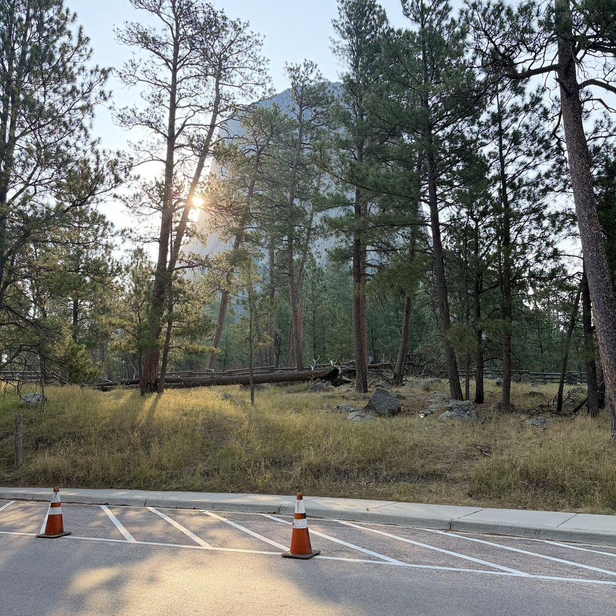 CLIFF_the_Head's tweet photo. #DevilsTower #mudflood #petrifiedwood #tartaria
Monday, August 3 2026 https://t.co/SoHeFV11cA