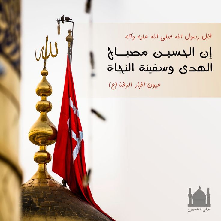 AliAlra3i's tweet photo. https://t.co/AlQNJF5P9J