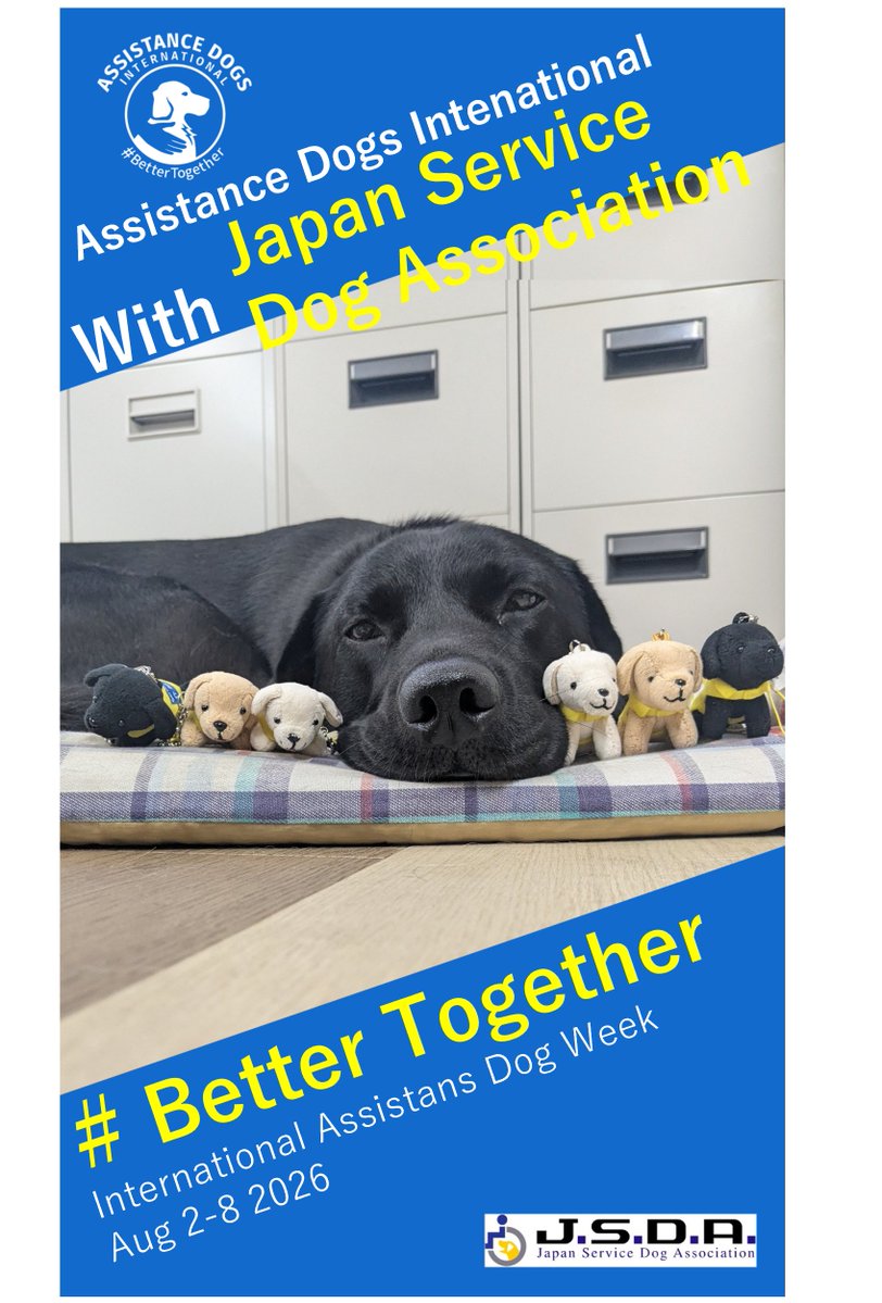JSDA_ServiceDog's tweet photo. 【#国際補助犬WEEK　特別セール！】
・WEBショップ：https://t.co/px1KuxEe95　
・実施期間：8月2日（日）0：00～8月8日（土）23：59
・セール内容：10,000円以上購入で10％オフ　
＊書籍と応援団BOXは対象外。
・クーポン番号：MXJD4EWH https://t.co/UZ0QgDes4t