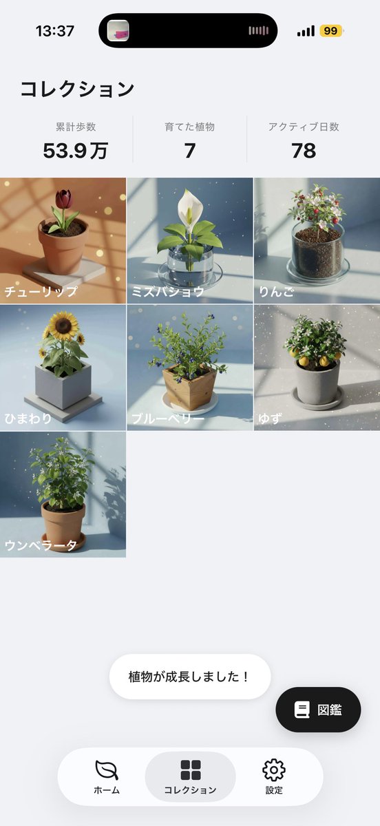 6a_nyaf's tweet photo. 最近は痩せたくて、歩いてお花を育てています。 https://t.co/NulcnDMJVD