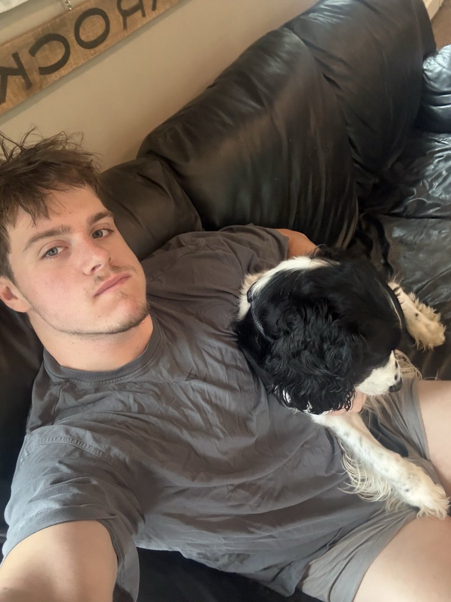 n8dagraet's tweet photo. glow up featuring my dog https://t.co/hsNfXJzmt8
