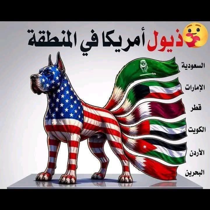 OrwabenAlward's tweet photo. @EwzEyzypPigHj2N @Ansar_Allah4 https://t.co/ZfEzFwD1vX