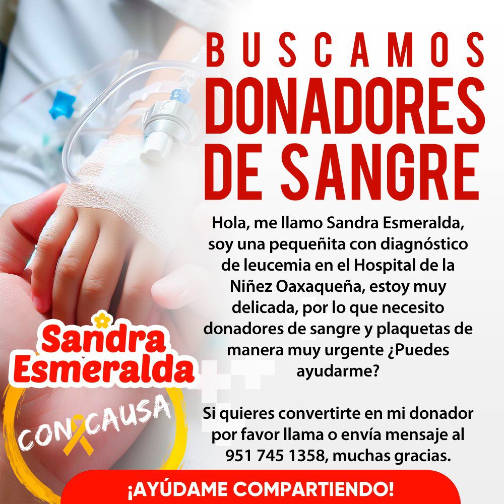 ConCausaMX's tweet photo. La pequeña Sandra acaba de ser diagnosticada con leucemia, está delicada y necesita sangre y plaquetas con urgencia, ayúdanos compartiendo esta publicación y si puedes también donándole 🎗️🩸 

#DonaSangre #ConCausa #Oaxaca #CancerInfantil https://t.co/TLTXzUNWt8