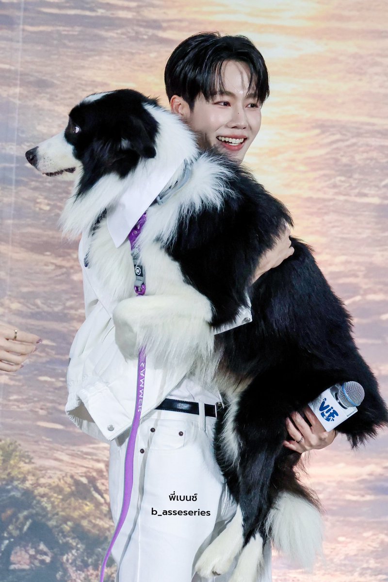 b_asseseries's tweet photo. พ่อลูกตัวเท่ากัน 😄😄

VIF X YINWAR ZUSAM
#VIFxYWZSPetexpo
@warwanarat #warwanarat
#sammerbcollie https://t.co/IdZoPJUwTx