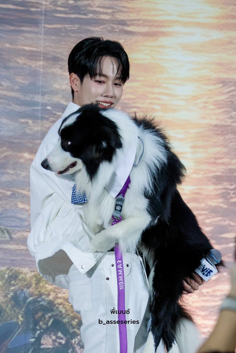 b_asseseries's tweet photo. พ่อลูกตัวเท่ากัน 😄😄

VIF X YINWAR ZUSAM
#VIFxYWZSPetexpo
@warwanarat #warwanarat
#sammerbcollie https://t.co/IdZoPJUwTx