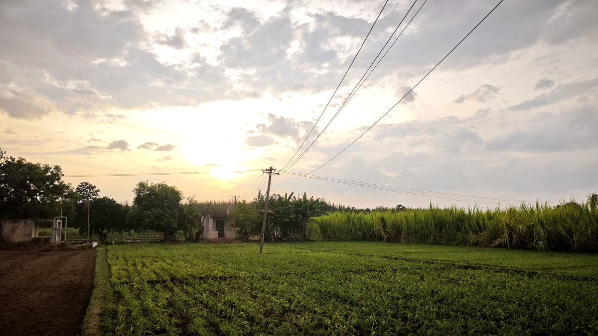 dream_explore13's tweet photo. Post a photo you took… that you LOVE 💚

#DreamShots #XiaomiPhotography #ShotonSnapdragon https://t.co/tZxMMeG0xB