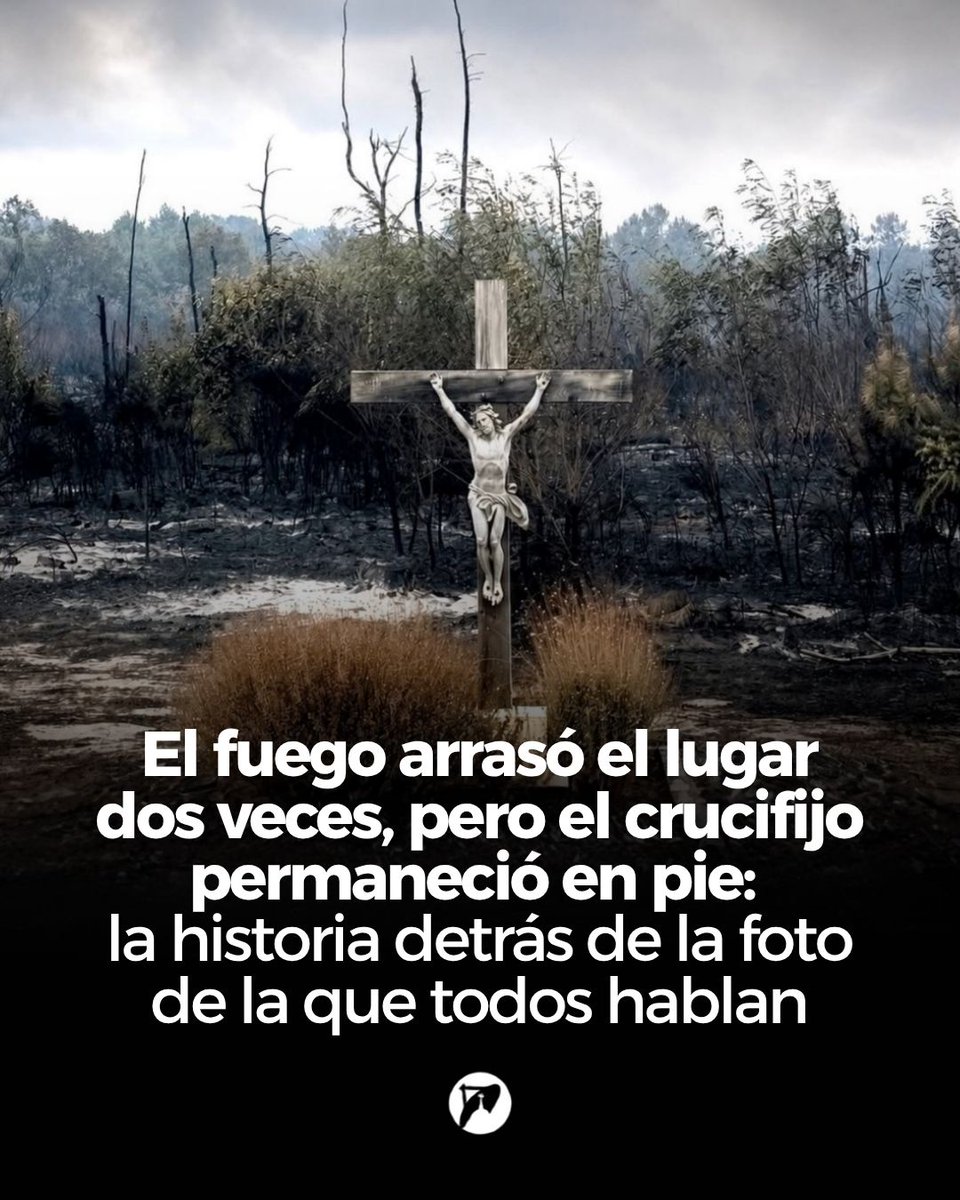 ChurchPOP_es's tweet photo. El crucifijo quedó en pie entre las cenizas de los incendios.

➡️ Un crucifijo resistió el paso de un devastador incendio en Saumos, Francia. La fotografía se volvió viral y volvió la mirada de muchos hacia este antiguo signo de fe.

📣 "Lo que me da fuerzas es mi fe. Es fe en mi trabajo, pero también es fe en Cristo".

🔗 Lee el artículo completo aquí: https://t.co/nNhaZp21RB
✍🏻Claudette Jerez
📸Foto: IG patrick13free (Patrick Bernard)