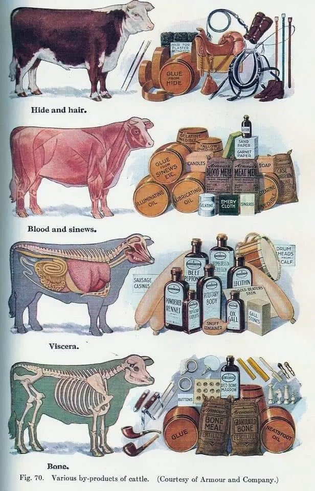 pmamtraveller's tweet photo. An old by-products poster from 1949. https://t.co/PyOMvfpQqy