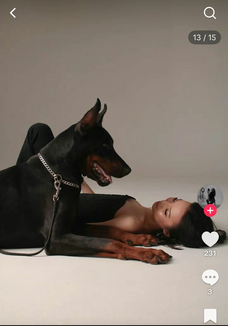 Zoeypaw's tweet photo. Loving my dog mom era 🐕❤️🐾
Link in my bio
 #USA2026Best
 #paobc #twitterpets https://t.co/S7rbBXmfzC