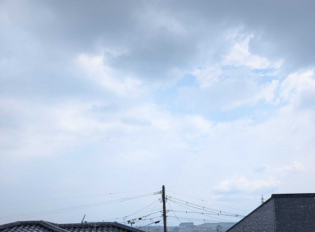 kazuchee1's tweet photo. 今日も暑い熊本　久しぶりに雨が降り出しました https://t.co/DWg5vEvjwv