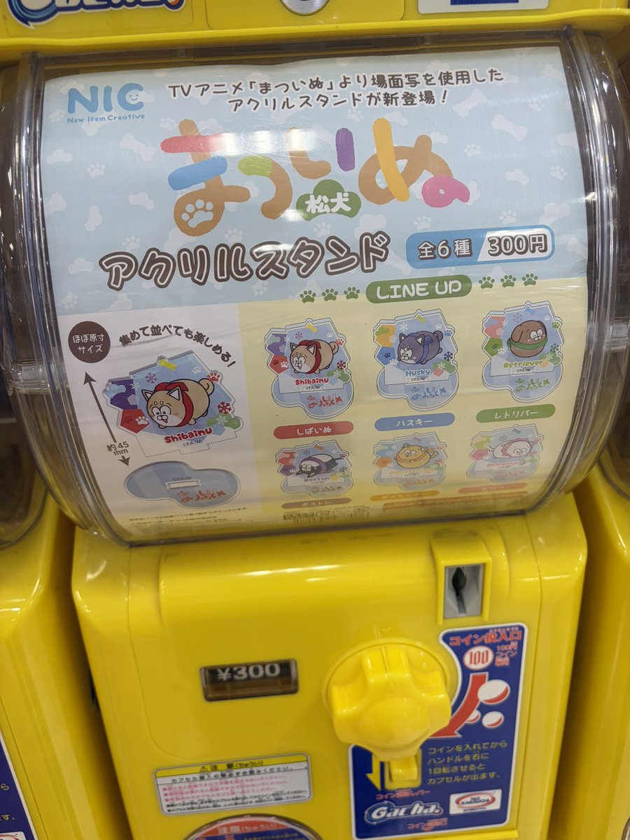 karamero2's tweet photo. こんなまついぬのアクスタガチャあったのぉ！？

推しが出るまで回したら全員揃ったわ、
お前最後の最後まで出ないのほんとなんなんだ？？？
そんなに我の元へ来るの嫌？？そんんなに嫌なの？？？
そろそろ泣くよ？？？？？？

マーカーは割とすぐきてくれて安心したのになんなんだよもう😂😂😂 https://t.co/vAqoFehkdx