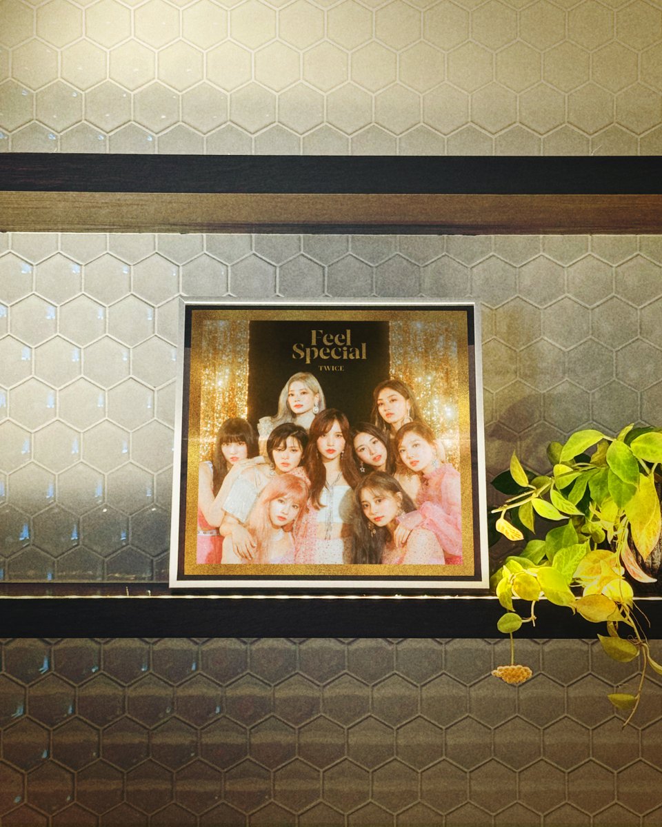 JYPETWICE_JAPAN's tweet photo. 💿TWICE BEST ALBUM『TWICE BEST ALBUM「#BEST 2015-2025」』

🎤TWICE LIVE DVD & Blu-ray 『TWICE <THIS IS FOR> WORLD TOUR IN JAPAN』

2026.08.26 2作品同時Release!

TWICE BEST ALBUM『TWICE BEST ALBUM「#BEST 2015-2025」』
韓国作品ジャケット柄LPサイズ（315mm×315mm）折り畳みポスター（1枚封入 / 全18種ランダム）
- 6th Mini Album 『YES or YES』 -
- 7th Mini Album 『FANCY YOU』 -
- 8th Mini Album 『Feel Special』 -

https://t.co/Ti9xVqYMbo

#TWICE #BEST_TWICE
#TWICE_THISISFOR_WORLD_TOUR