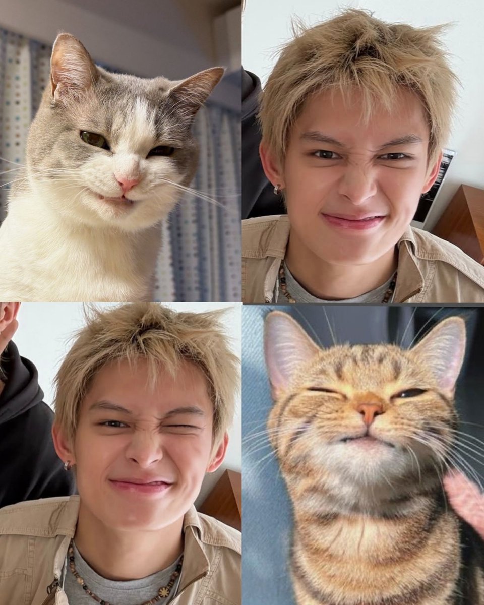 just_emma2005's tweet photo. meow!
#JAMES #제임스 https://t.co/bdgFWFd6wI