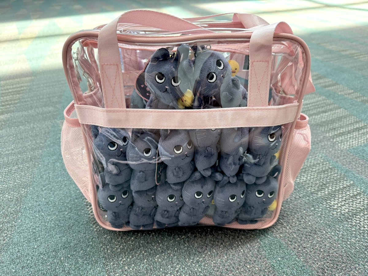 tonyangbbin's tweet photo. remembering having to fit all my babies inside my bag for kcon ( ⸝⸝´ ᵕ `⸝⸝)♡ https://t.co/Dw4YQk7xGC