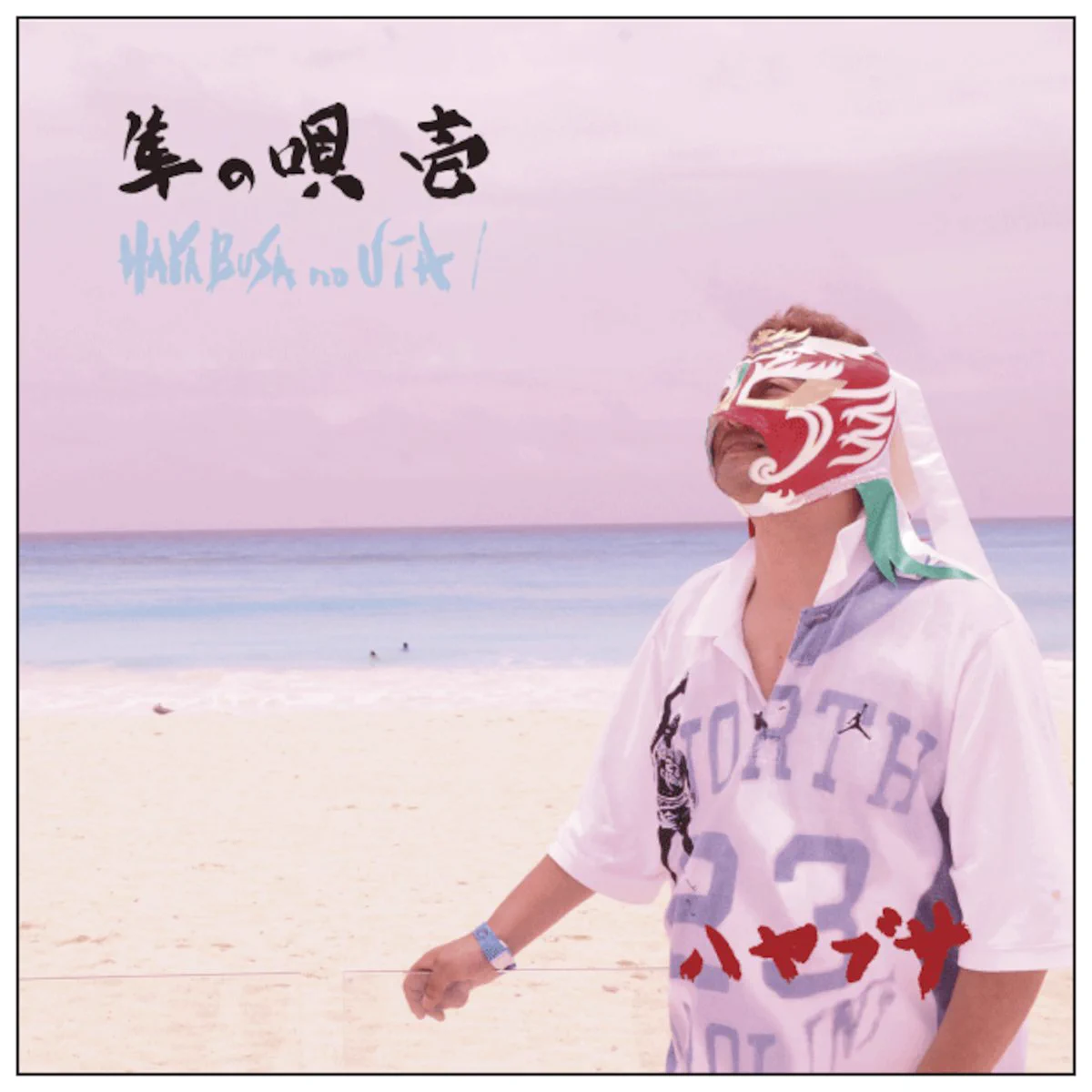 ハヤブサ(隼計画)_official (@hayabusa_info_) / X
