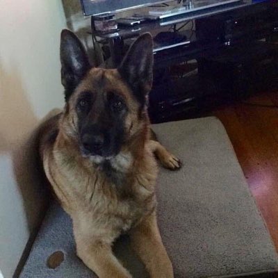 dimitrip921's tweet photo. #NewProfilePic https://t.co/j5Wp3iBRIO