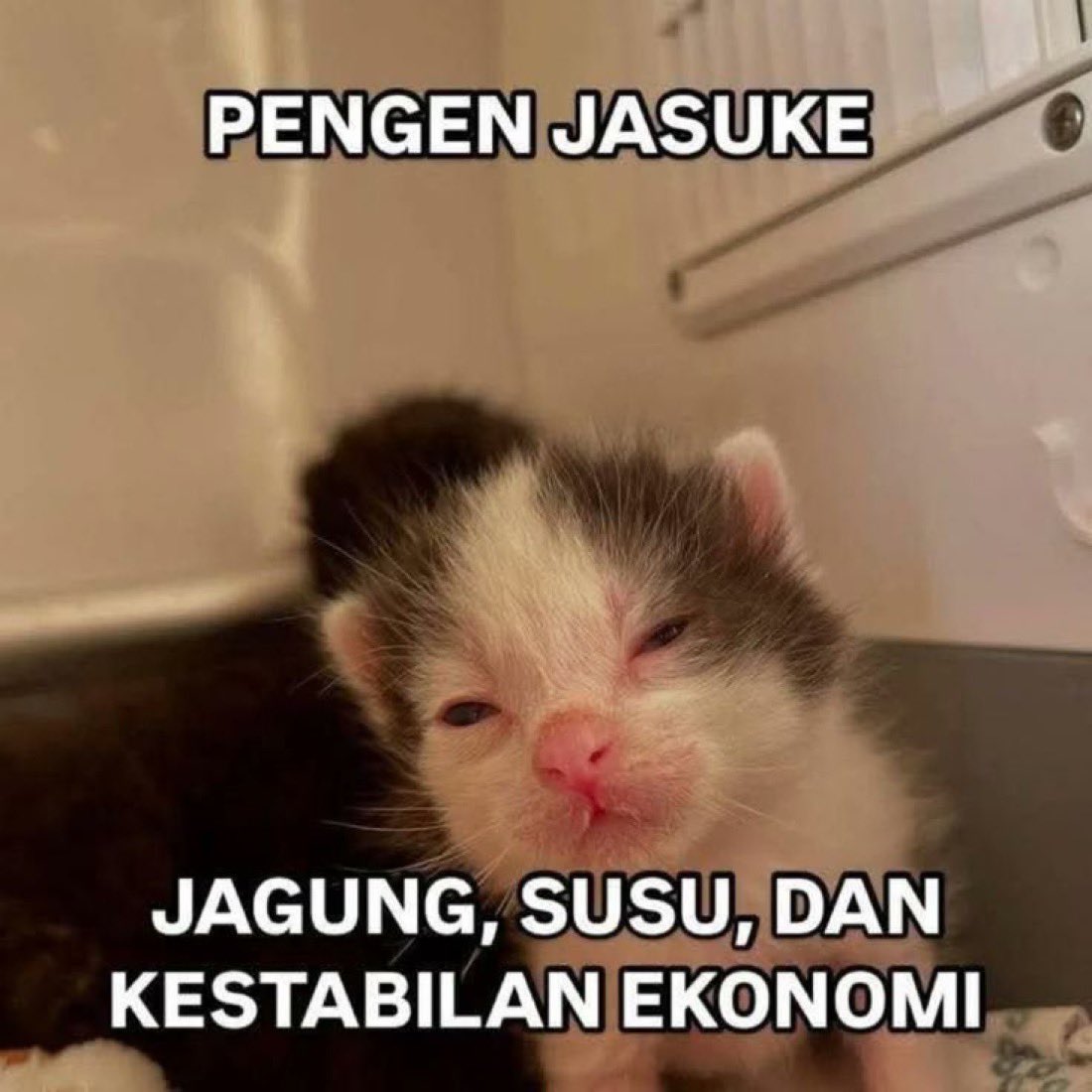 recehtapisayng's tweet photo. 😫😫😫 https://t.co/fwwy5XpvPo