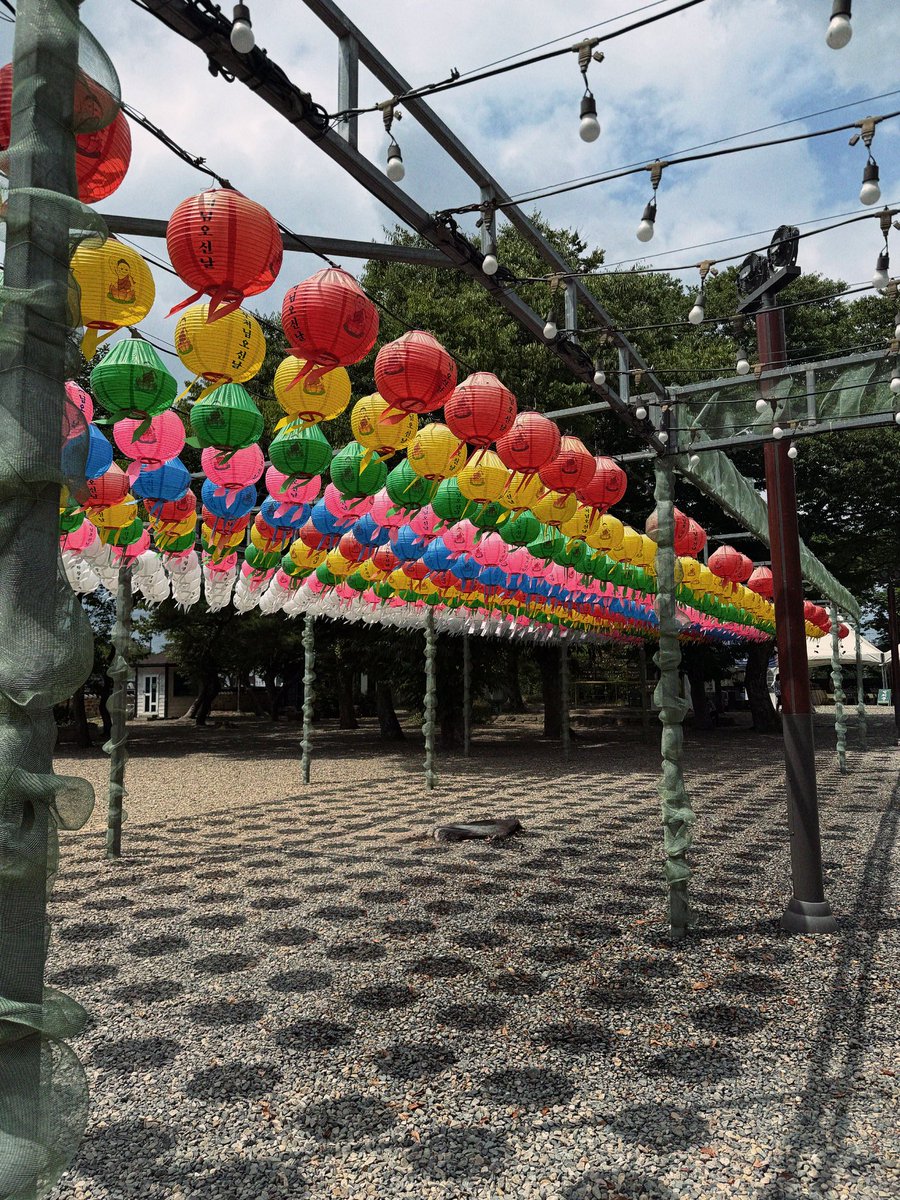 Rin_73's tweet photo. 경주너무재밌다••

(황리단길가면 녹아 카페에서 레몬소르베
젤라또를먹으시길 또먹구싶드아) https://t.co/qHcx7uEBCS