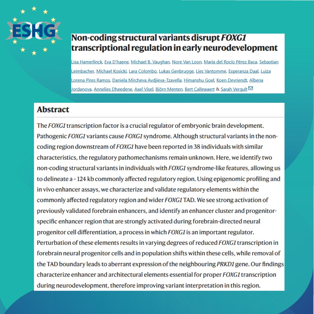 eshgsociety's tweet photo. 🧬 New studies show how SVs downstream of FOXG1 can disrupt its regulation and contribute to a FOXG1-like NDD. Together, they reveal distinct regulatory loci and provide new insight into the locus’s 3D organisation.

👉https://t.co/qqHrakV68f
👉https://t.co/M3j5azZXyT https://t.co/99F4mHNmre