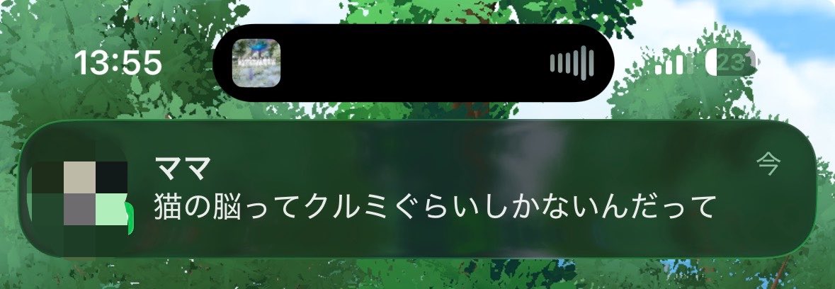 mmxigx's tweet photo. ままからこれきてわろた
うちの猫バカにされてる https://t.co/jKZKcvnsRZ