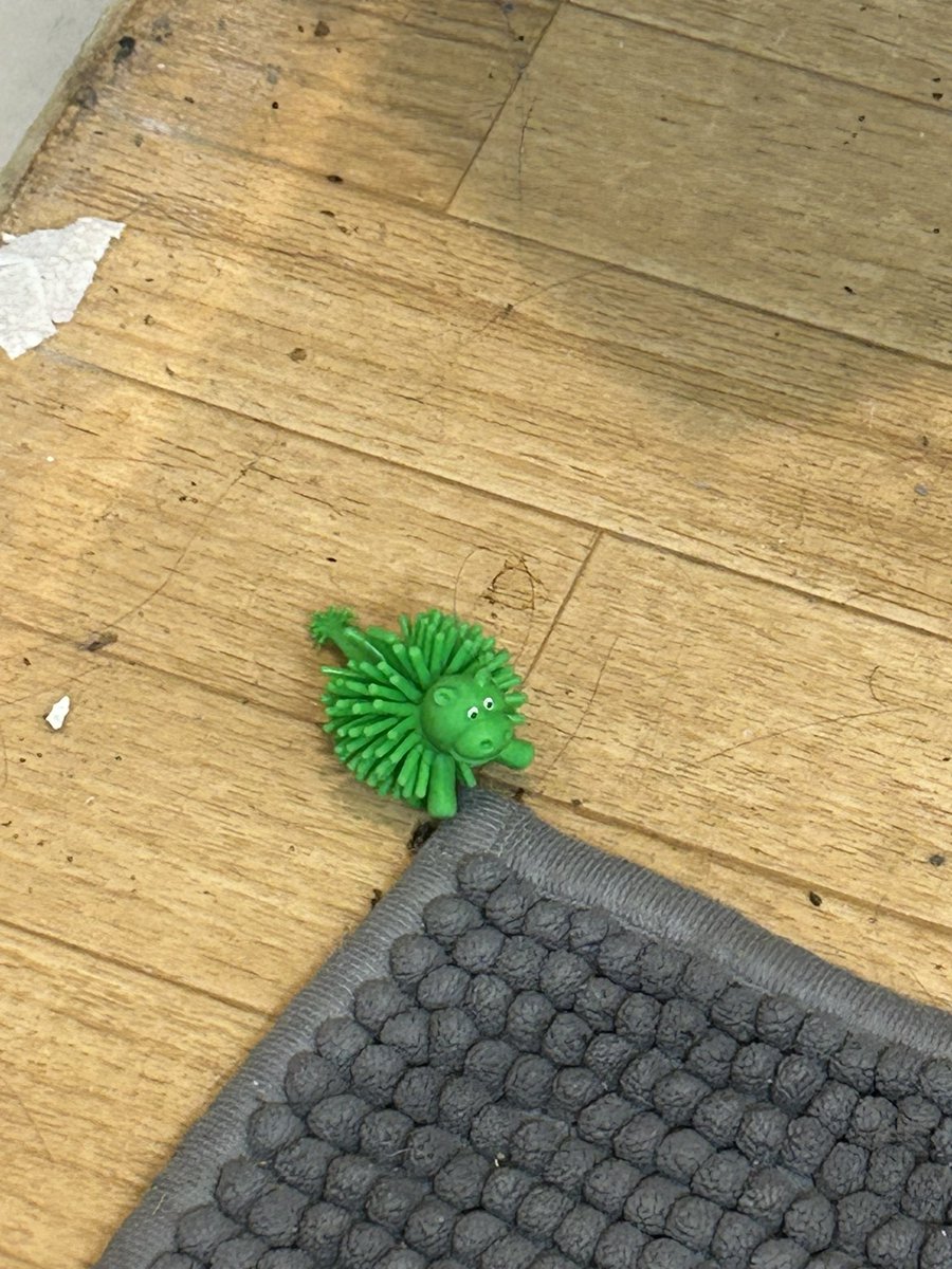 bandaidstain's tweet photo. he was looking at me for awhile https://t.co/YI3S7x6R5B